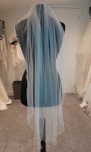 Veil S320 by Bianco Evento featuring scattered diamantes and a corded edge.